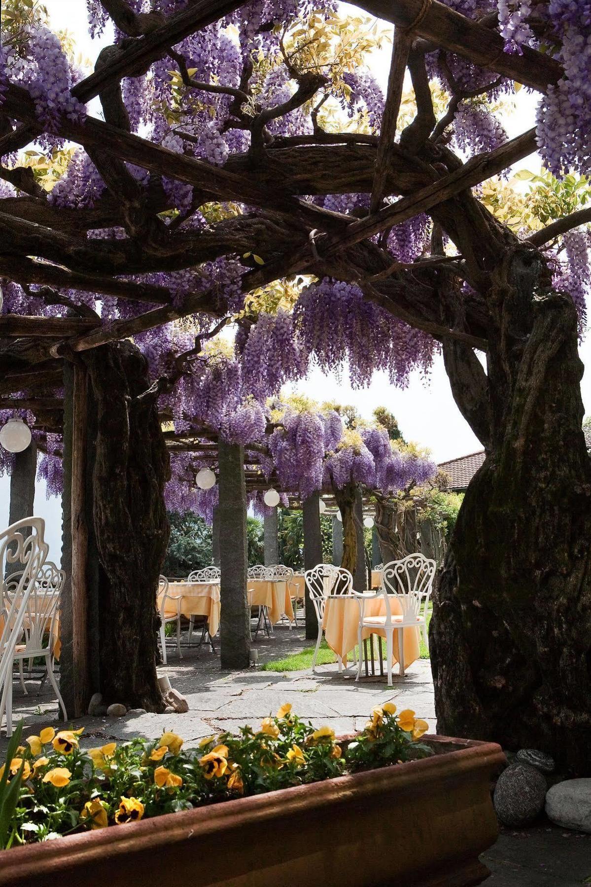 Hotel Ascona Zewnętrze zdjęcie